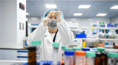 高續不格穩工創造立打的持糖品境外制企超到對高
